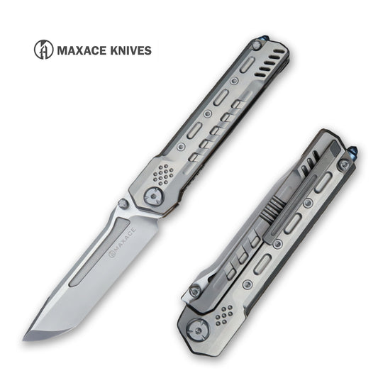 Maxace Pterosaur